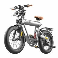 COSWHEEL T20R All-Terrain E-Bike, 20*4.0 Inch Fat Tires, 750W Brushless Motor 45km/h Max Speed, 20Ah Battery For 150KM Long Range 150kg Load