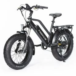 Troxus SkyHopper Electric Bike 20*4.0 Inch Fat Tire 750W Brushless Motor 42Km/h Speed 48V 12.8Ah Samsung Battery Up To 40 Miles Range Shimano 7-Speed