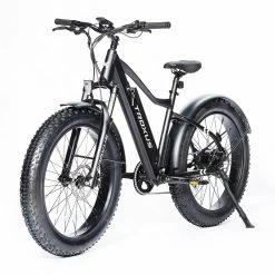 Troxus Vulcanus Electric Bike 26*4.0 Inch Fat Tire 750W Motor 42Km/h Speed 48V 16Ah Samsung Battery 7-Speed Shimano GearRoad Snow Mountain Bike